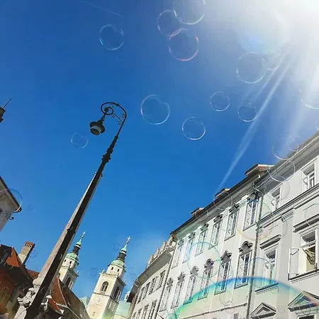 Lona * Ljubljana